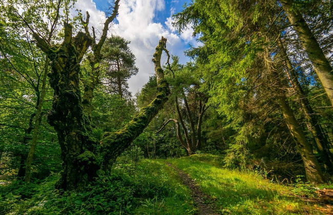 4 Person Holiday Home in Nexo - Foto 22