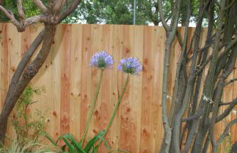 Maison Claouey - Foto 17