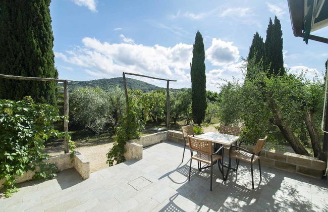 Azienda Agricola Sapereta - Foto 15