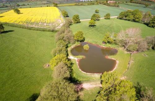 Upper Onibury Cottages - Foto 5