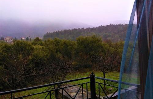 Mainades House - Photo 15