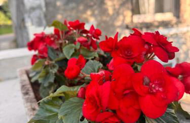 Appartement Love - Foto 31