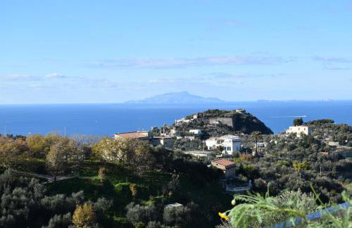 De Gregorio - Foto 27