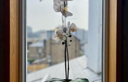 Stylish Two Bedroom Apartment Free WiFi West London - Foto 17