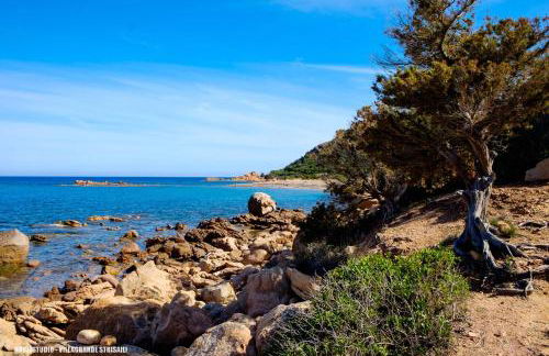 Casa Museddu - Foto 46