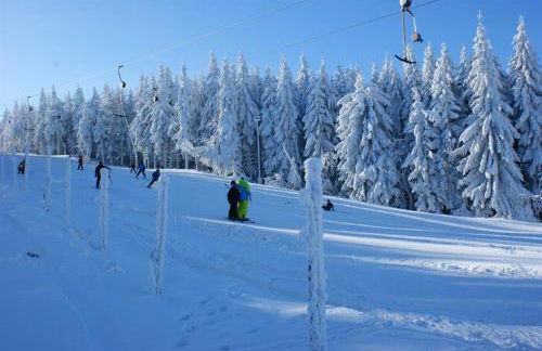 Ferienhaus Schelle - Foto 8