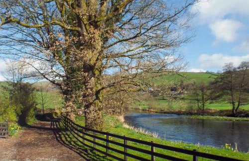 Four Seasons - Foto 21