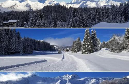 studio cabine Praz de Lys - Foto 10