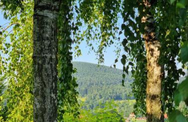 NaszjestWasz - Foto 9