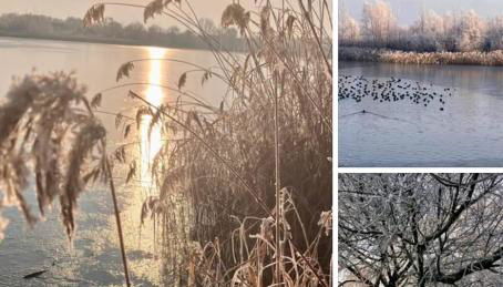 Ferienhaus im Gänseried - Foto 3