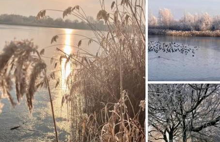 Ferienhaus im Gänseried - Foto 3