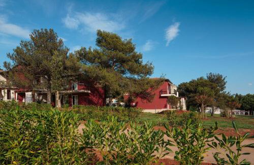 Apartments Katoro Plava Laguna - Foto 22