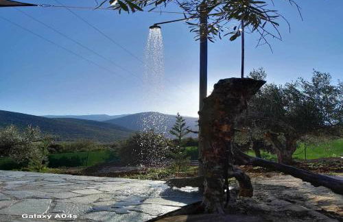 Elaia Rest House Retreat in nature - Foto 24