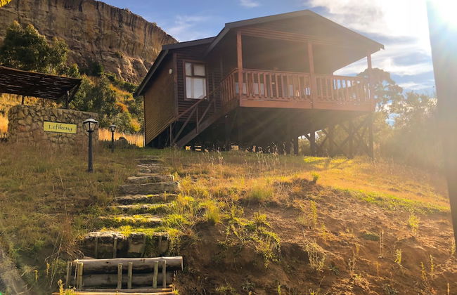 Groenhoek Game and Guest Farms - Foto 59