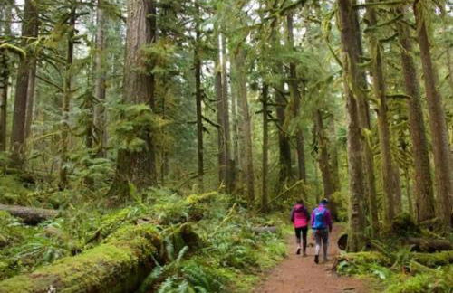 Chateau Relaxeau Game Room Hot Tub Fire Pit - Foto 67