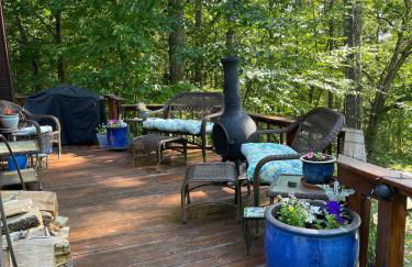 Catskills Aframe, Water View, Goat Sanctuary - Foto 5