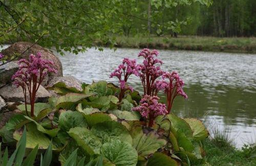 Wieża marzeń - Photo 13