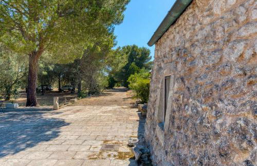 Tenuta Pizzola - Foto 28