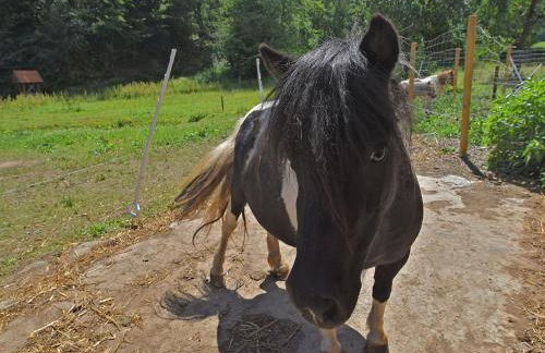 Wohnung mit Eigener Terrasse in Huddinge - Photo 12
