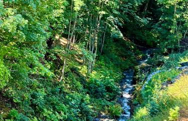 Chalet Altus - Photo 52