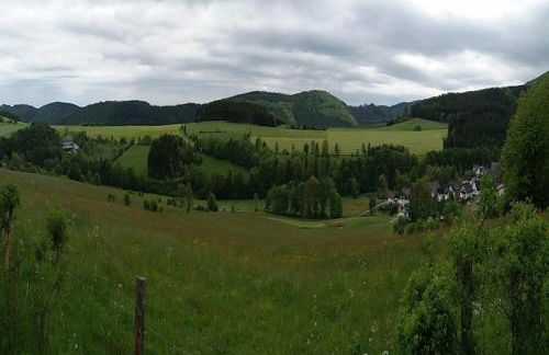 Naturrefugium bei Willingen - Foto 29