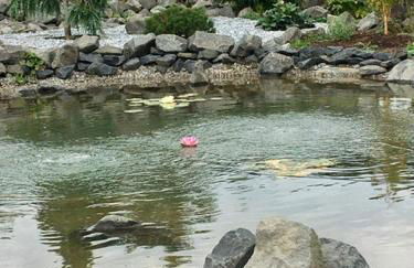 Ferienwohnung am Klosterweg Rhein-Westerwald - Foto 24