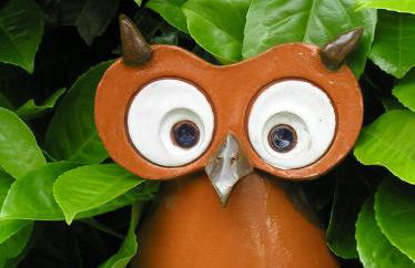 Eifelferienkurth - Photo 67