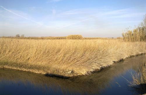 Hospital del Temple Casa Rural - Foto 69