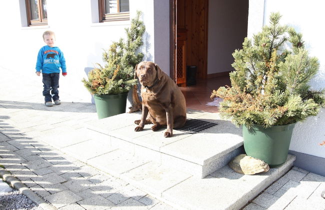 Charming Holiday Home in Huttau With Barbecue - Foto 27