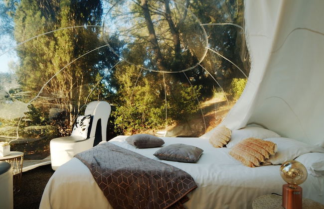 Domaine de la Tuilière - Foto 12