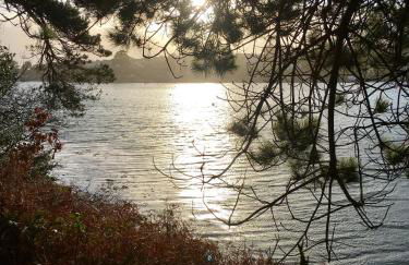 Morthana Shepherd Hut - Foto 19