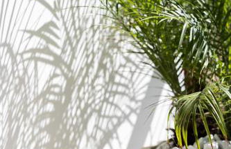 Mandarin One Bedroom Apartment Varkiza - Foto 31