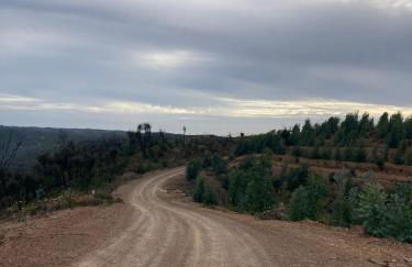 Oleiro de Cima - Foto 22