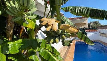 Villa Juani - Foto 2