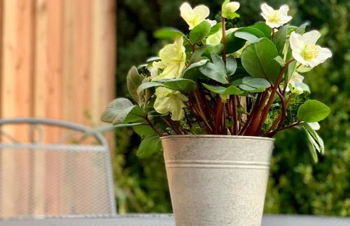 Gemütliche Ferienwohnung in Uelzen mit eigenem Garten - Foto 41