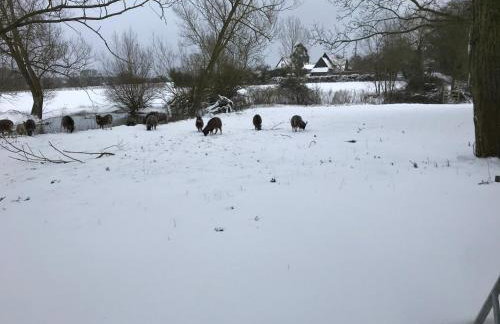 Simpers Drift, Great Glemham - Foto 40