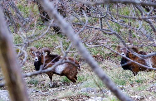 MANSARDA VITI - Sguardo su Frontone - - Foto 47