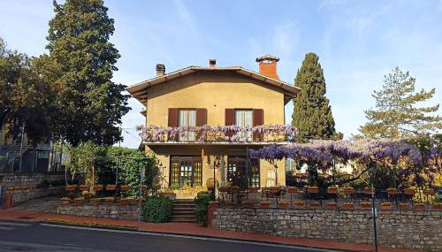 Il glicine - Primula - Foto 5