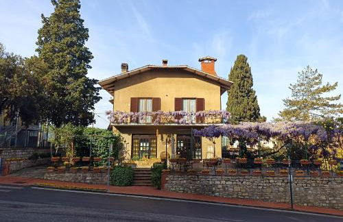 Il glicine - Primula - Foto 5