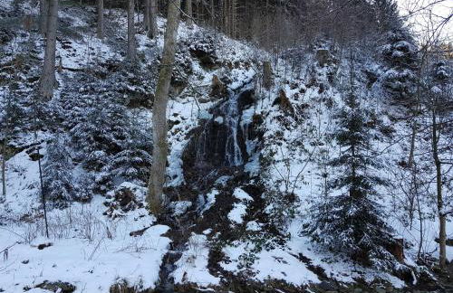 Alpine Escape in Wildemann - Foto 26