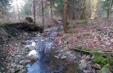 Creekside Escape on 200 acres - Foto 23