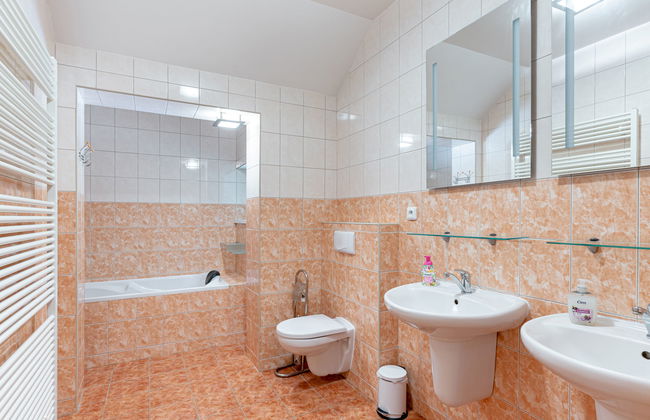 Albrechtice - Foto 28