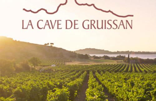 VILLA DU PIN - Foto 43