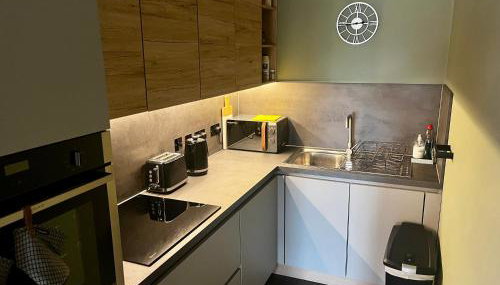 Comfy, modern one bed apartment - Foto 5, stove, dishwasher, pet friendly, toaster, minibar