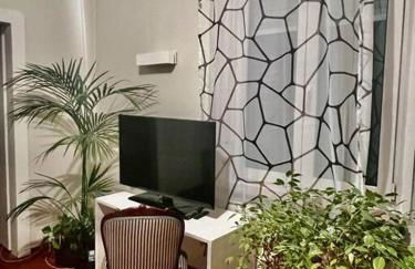 nah zur S-Bahn und Altstadt - Foto 8