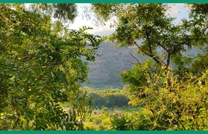 Kampos View Ikaria - Photo 16