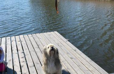 Luksusowe domki Mazury - Foto 41
