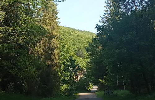 Dom w górach Przy szlaku - Foto 71