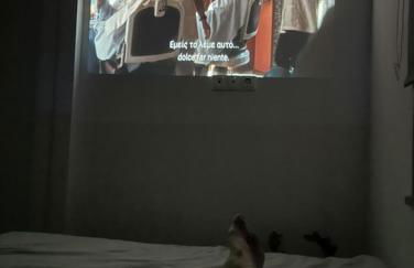 Madi apartment - Photo 13