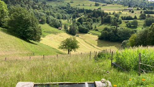 Au croque nature - Foto 5